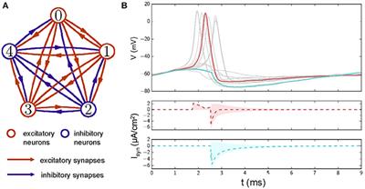 Efficient Coding and Energy Efficiency Are Promoted by Balanced Excitatory and Inhibitory Synaptic Currents in Neuronal Network